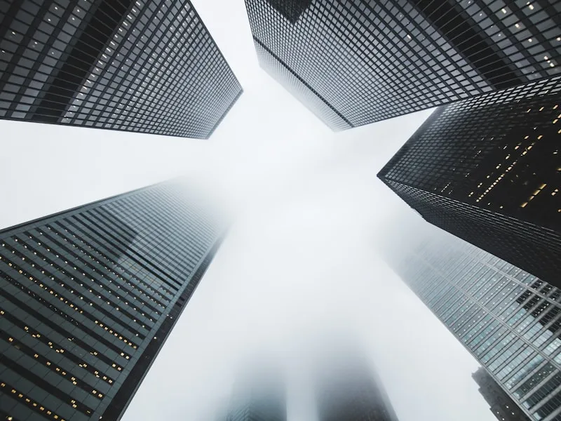 Mono — Zine Series